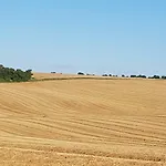 La Grue Mons (Charente)
