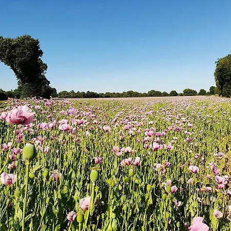 La Grue Vakantiehuis *