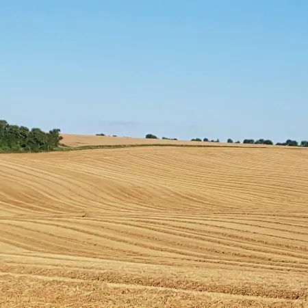 La Grue Mons (Charente)